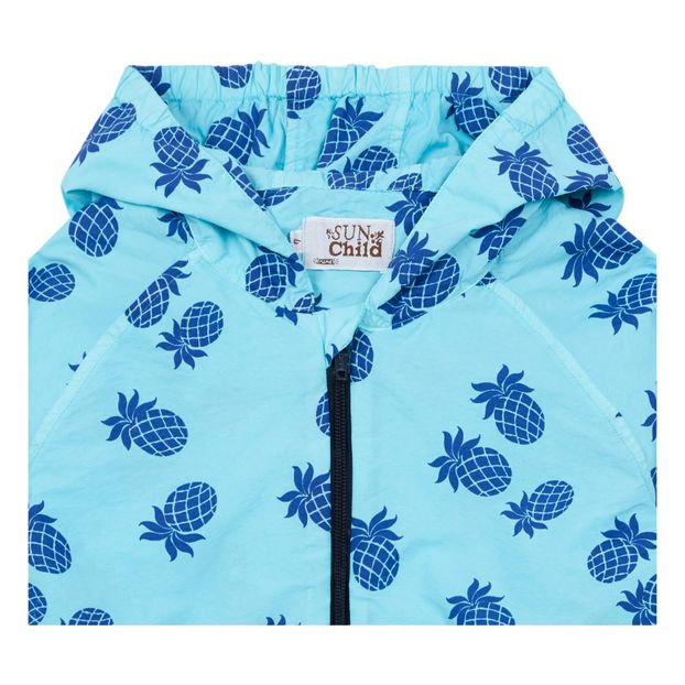 Coupe Vent Hol Box Ananas-product