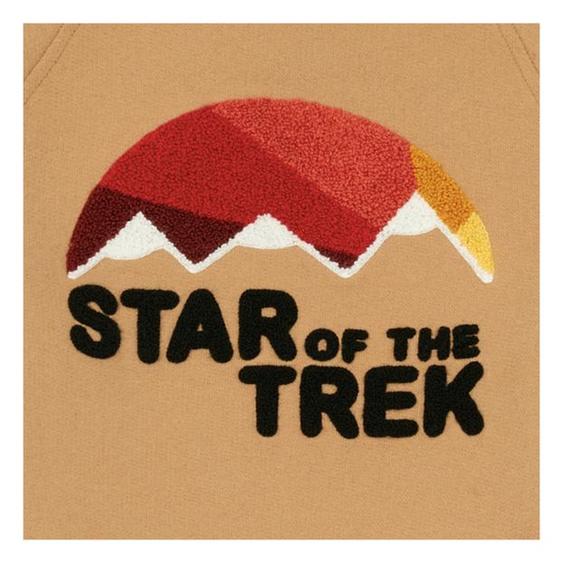 Sweatshirt Star OF The Trek-product