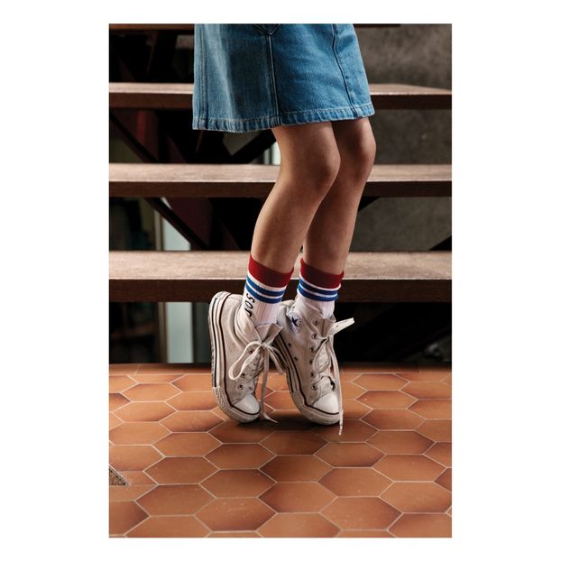 Stinky Chaussettes Socks -product