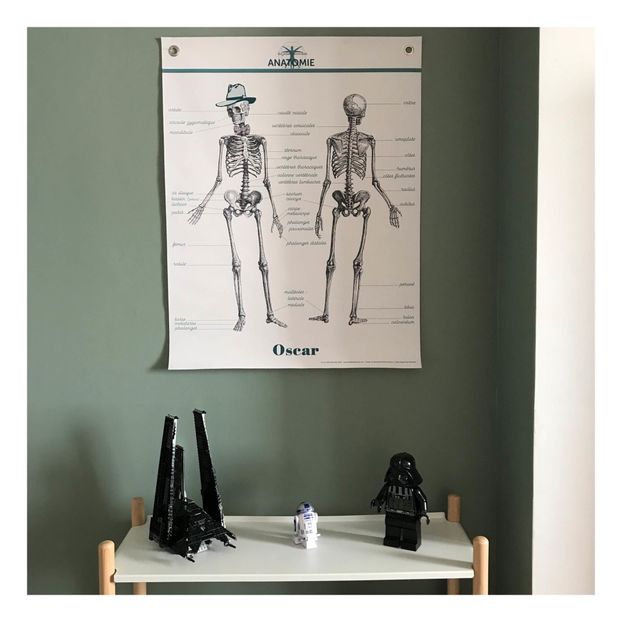 Anatomy Learning Board 70x90cm-product
