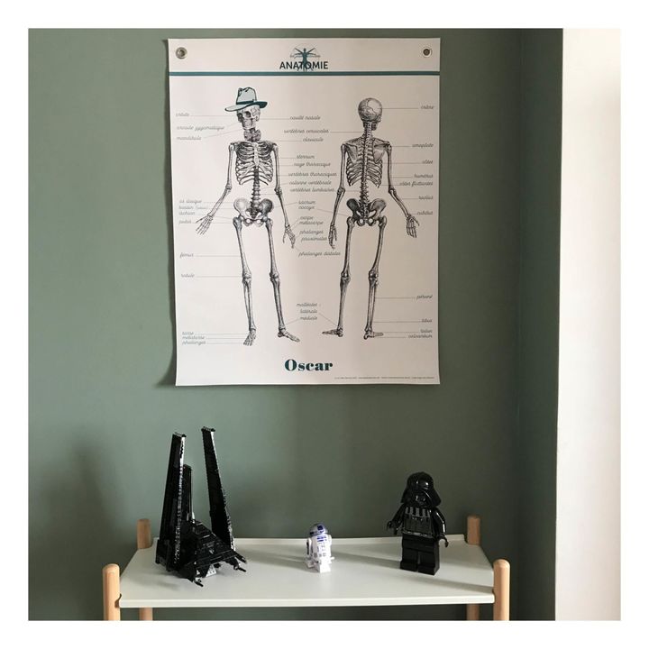 Tabla Anatomía 70x90 cm- Imagen del producto n°3