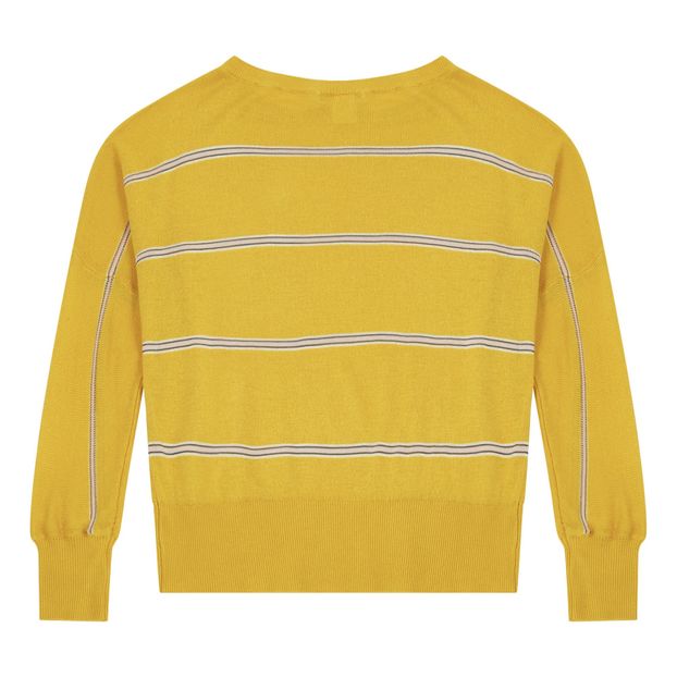 Dant jumper-product