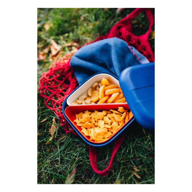 Bento à compartiments-product