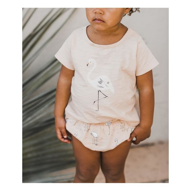 Bloomer Flamingos-product