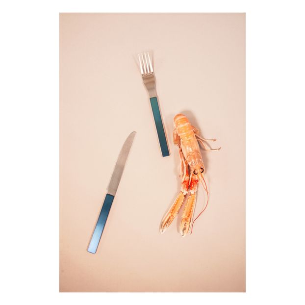 Fork - Muller Van Severen-product