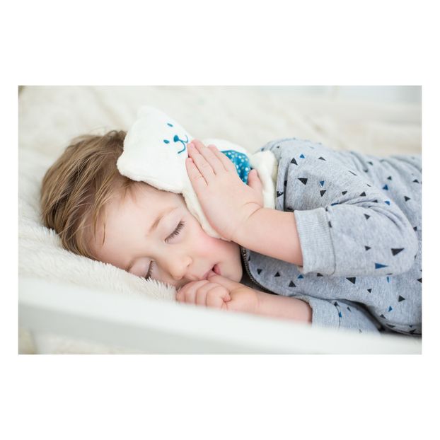 Ourson thérapeutique-product