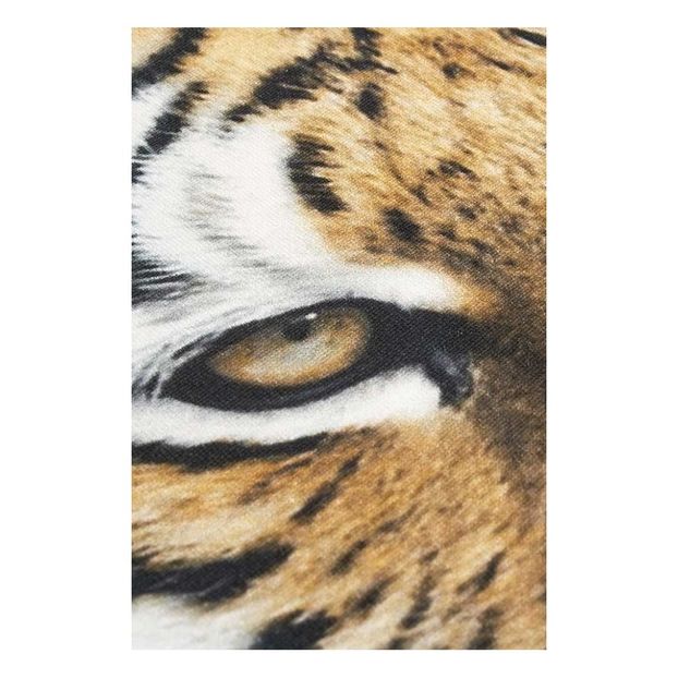 Sudadera Tiger Algodón Biológico-product
