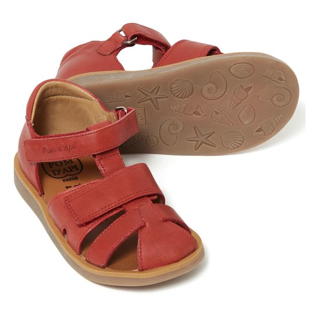 Sandalias Poppy Boy Strap-product