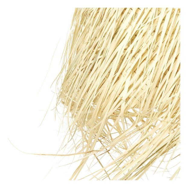 Suspension Palme-product