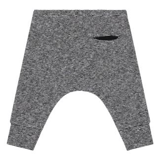 1+ in the family Pluderhose Tarento-listing