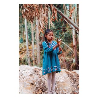 Louise Misha Kleid Cuzco-listing