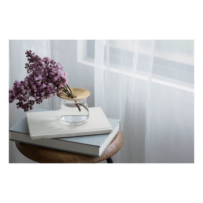 Luna Glass Vase | Transparent