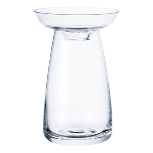 Vase en verre Aquaculture | Transparent