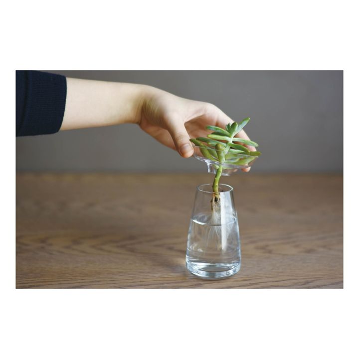 Vase en verre Aquaculture | Transparent- Image produit n°2