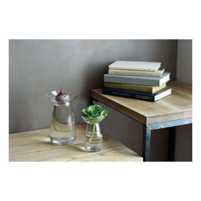 Vase en verre Aquaculture | Transparent