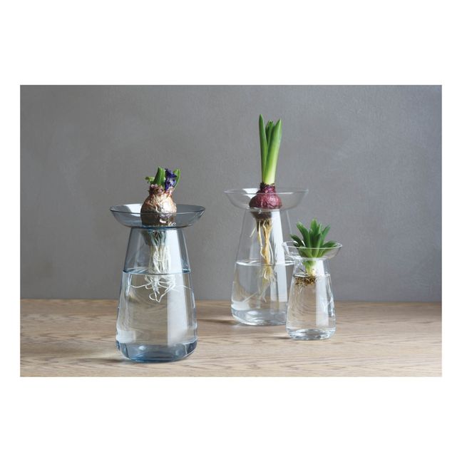 Vase en verre Aquaculture | Transparent
