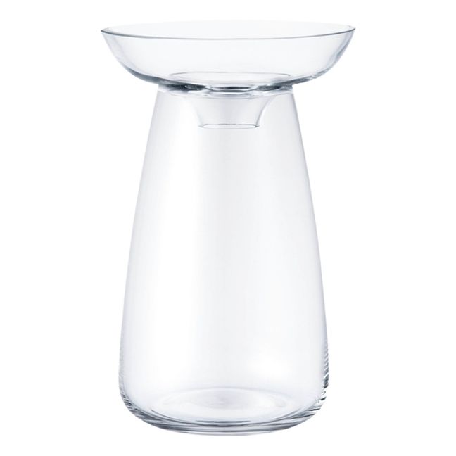 Glasvase Aquakultur | Transparent