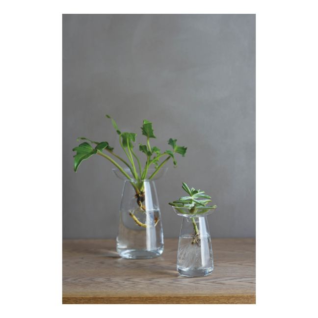 Vase en verre Aquaculture | Transparent