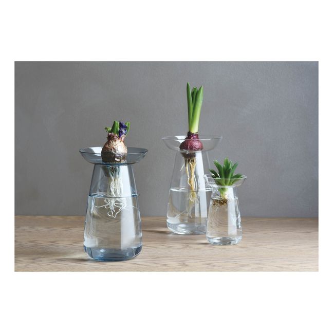 Aquaculture Glass Vase | Transparent