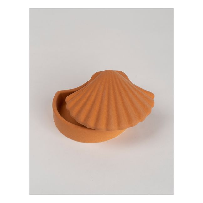 Boîte coquillage en argile | Terracotta