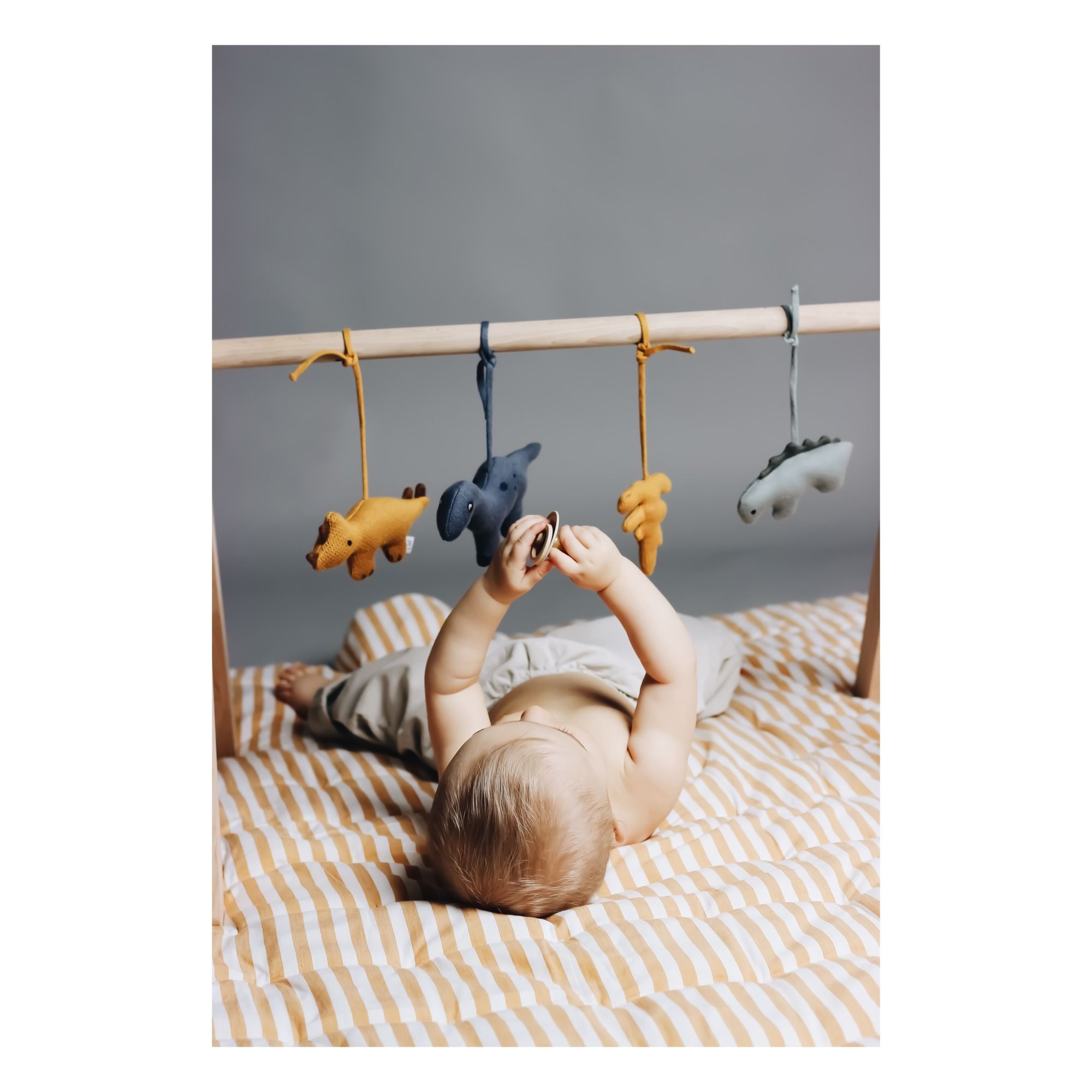 Dino Gio Organic Cotton Activity Arc Accessories- Product image n°3