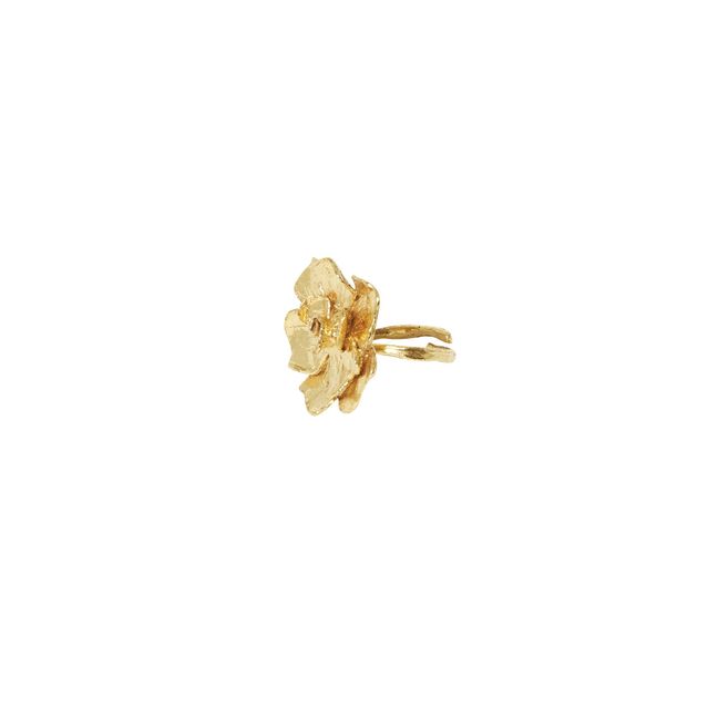 Anillo Prahana | Dorado