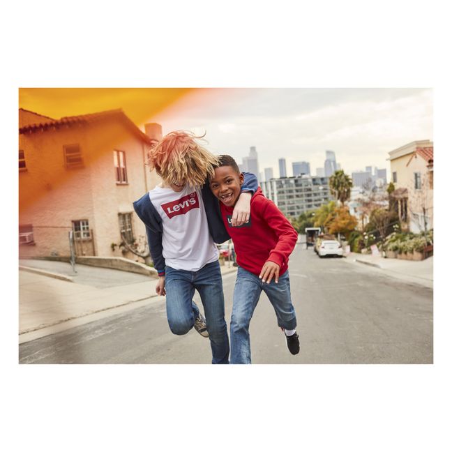 510 Stretch Skinny Jeans | Denim
