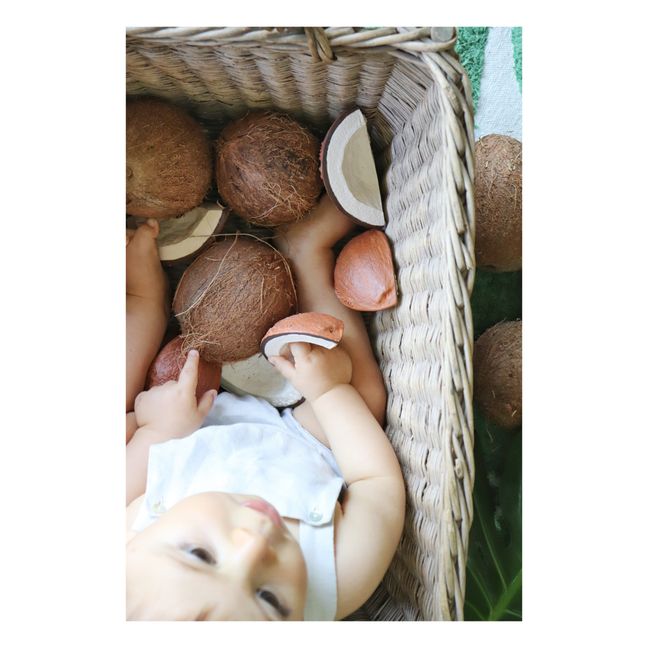 Coco la noce di coco di Dentizione | Bianco