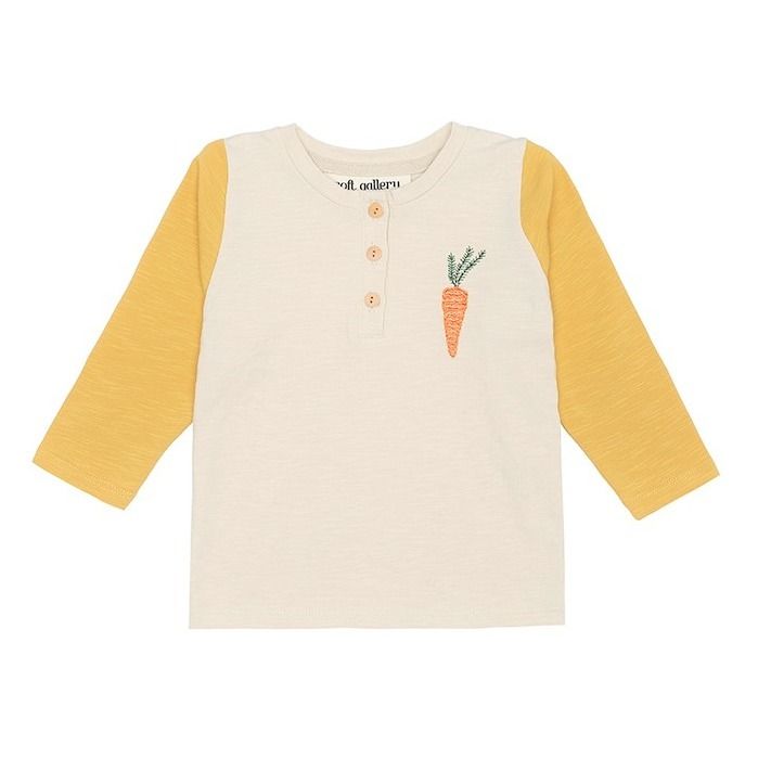 T-shirt Fieldy Coton Bio