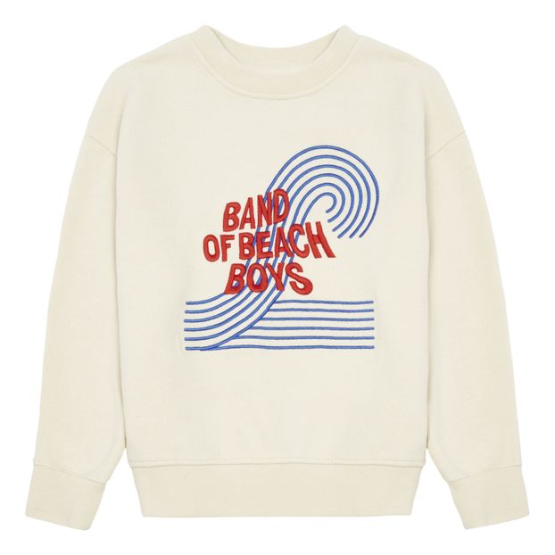 the beach boys hoodie