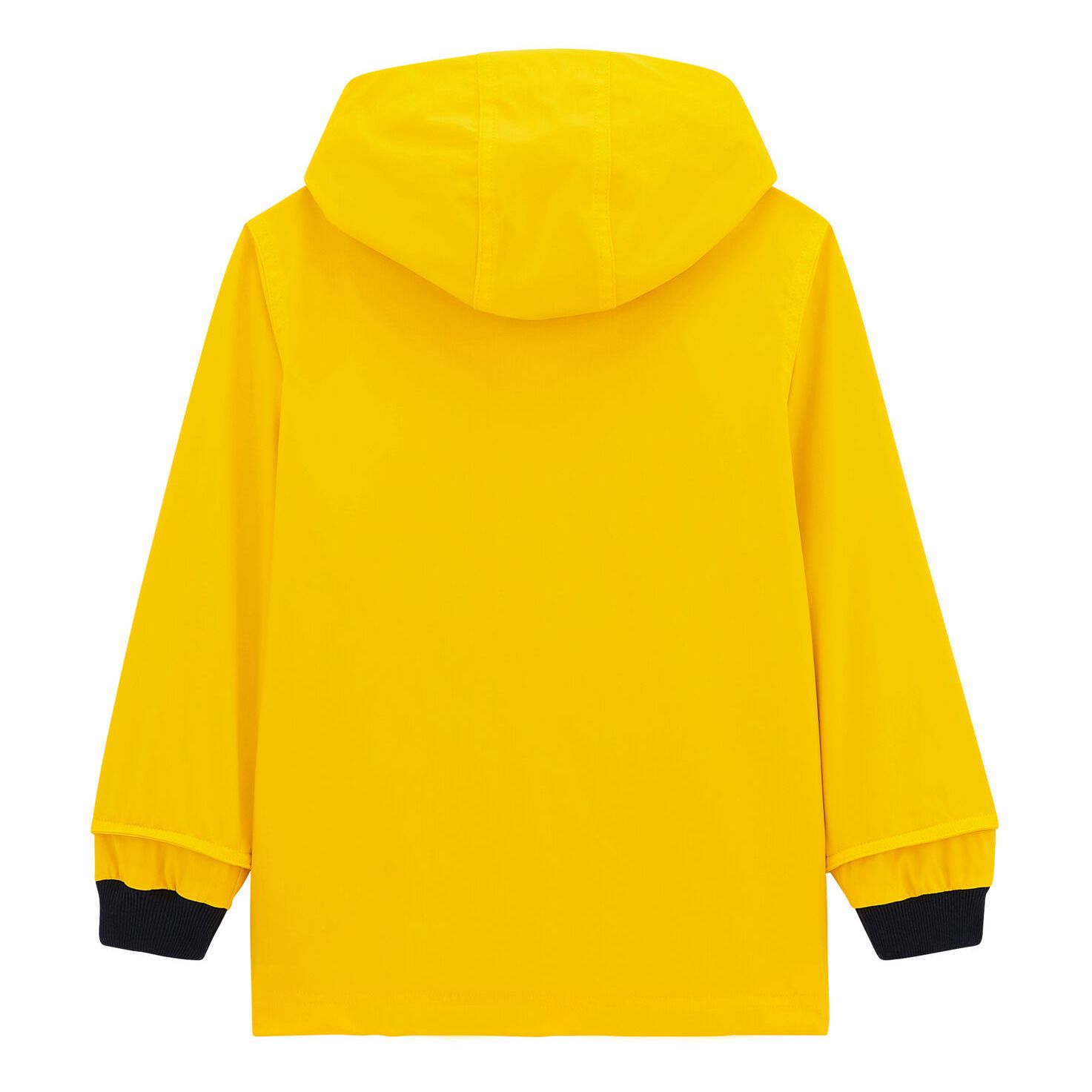 Cerata iconica Donna/Uomo JAUNE