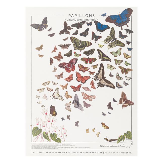Poster Schätze der Nationalbibliothek Schmetterlinge 60x80 cm