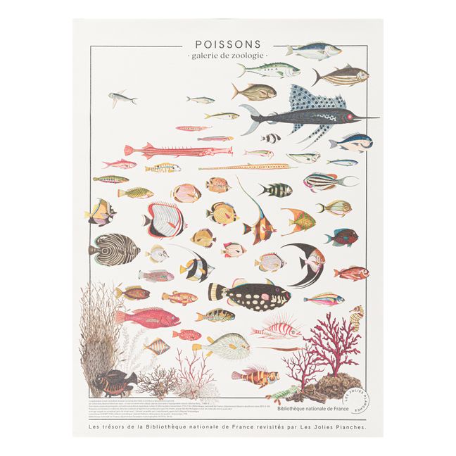 Poster Schätze der Nationalbibliothek Fische 60x80 cm