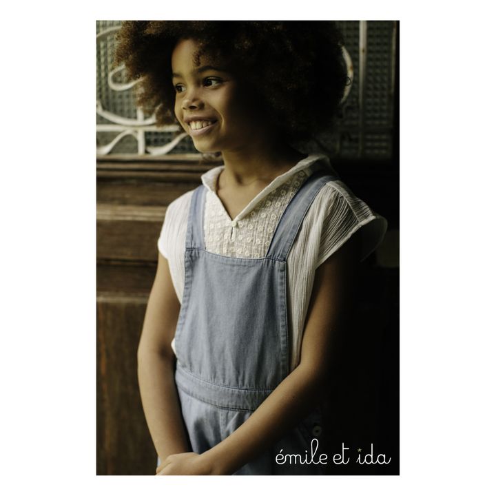 chambray overalls