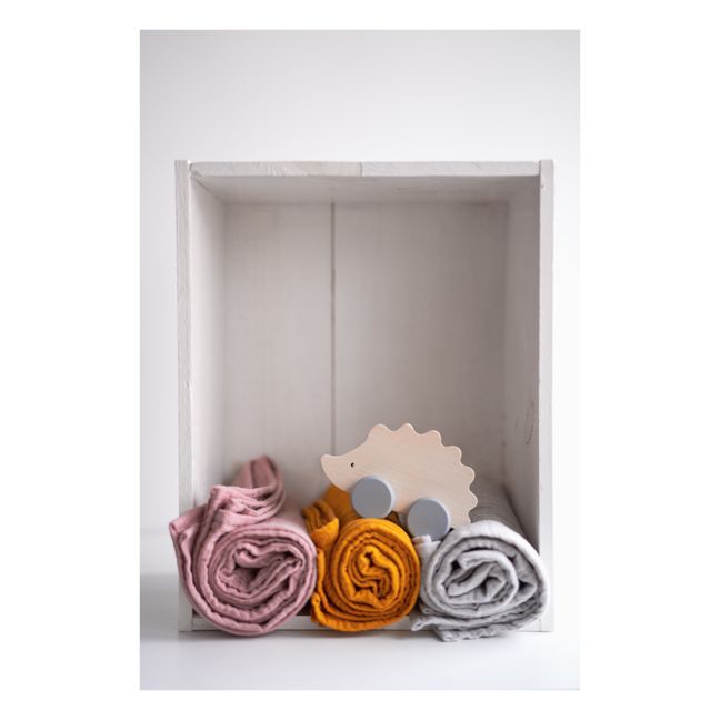Wooden Hedgehog Push Toy | Grey