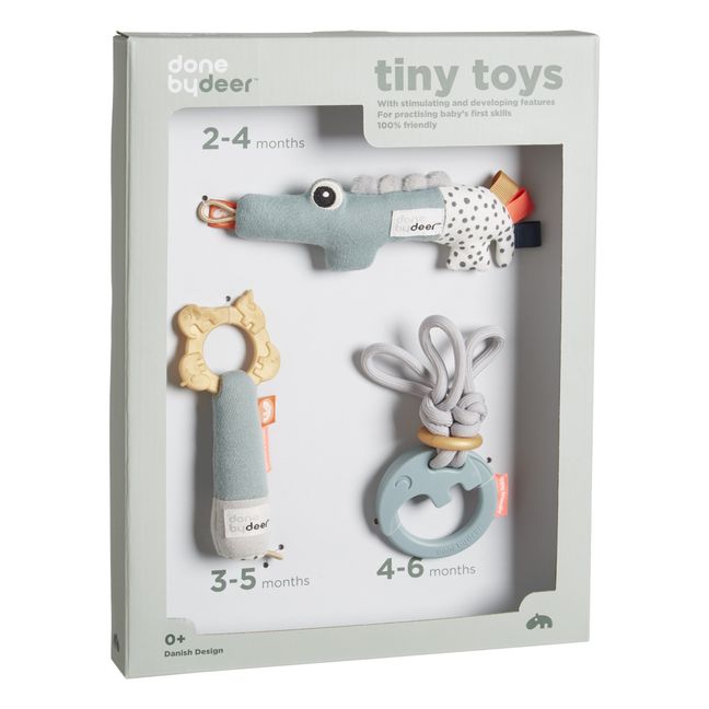 Early Learning Toy Set
