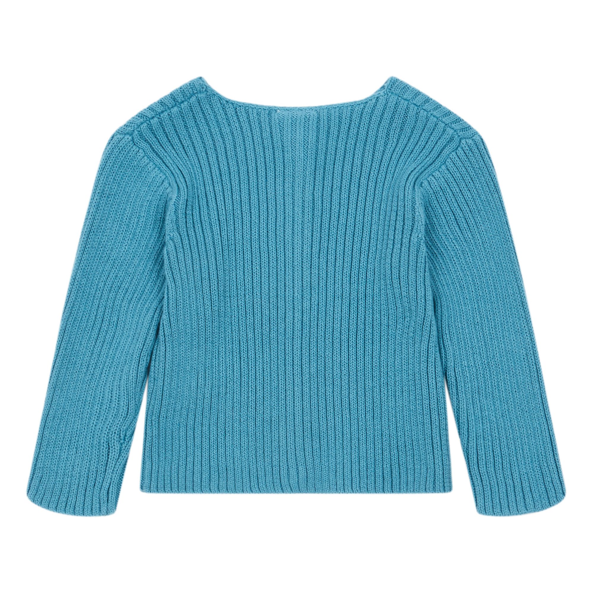 blue sheep cardigan