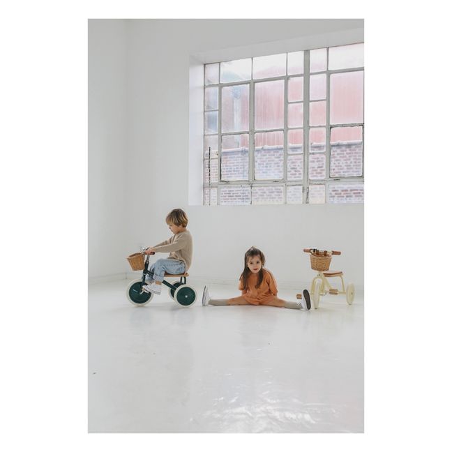 Metal and Woode Tricycle | Green