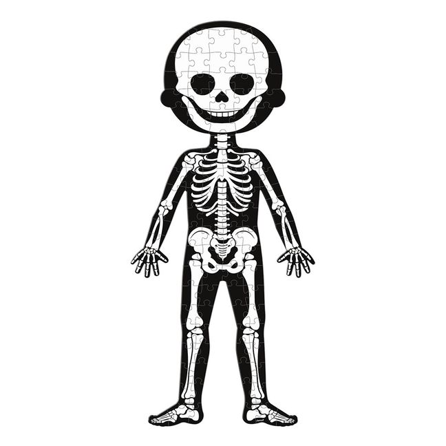 Human Body Educational Puzzle - Set of 3