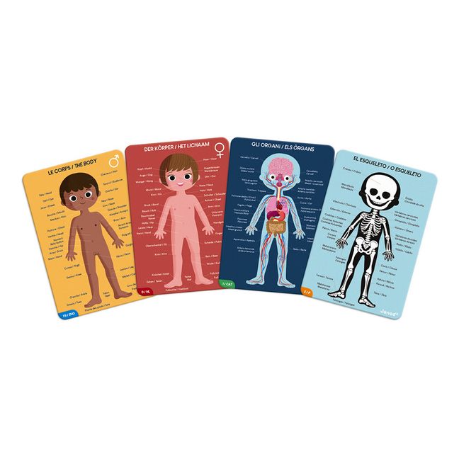 Human Body Educational Puzzle - Set of 3