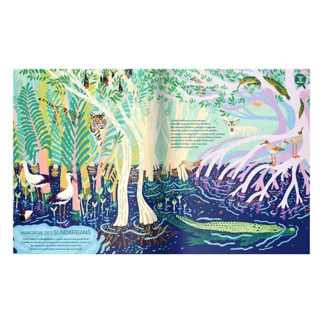 Album Jungles - M. Navarro & M. Cassany