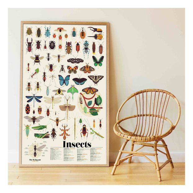 Poppik - Poster sticker Les Insectes (Poppik) - Couverture
