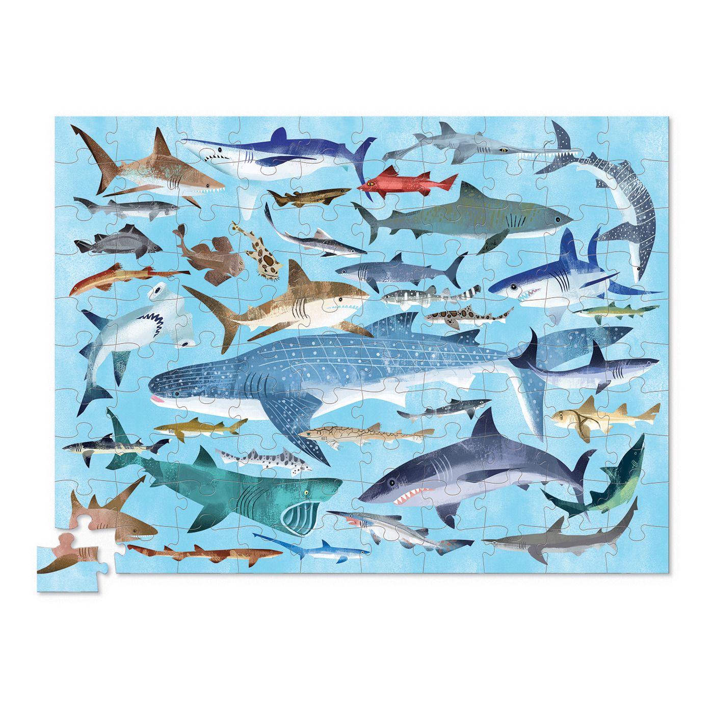 Crocodile Creek - Puzzle Les requins - 100 pièces - Multicolore