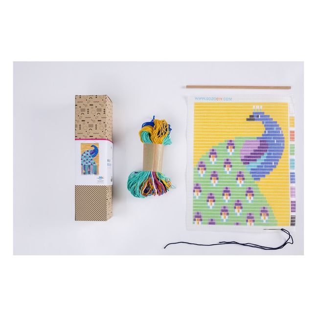 Peacock Needlepoint Wall-Hanging Kit
