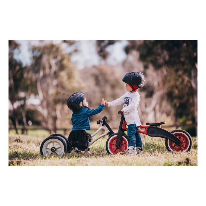 Wishbone balance outlet bike