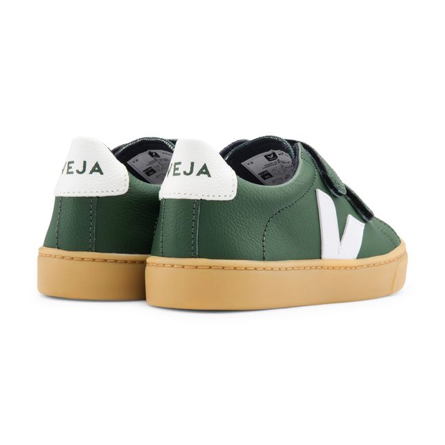 Baskets Scratchs Cuir Esplar | Vert