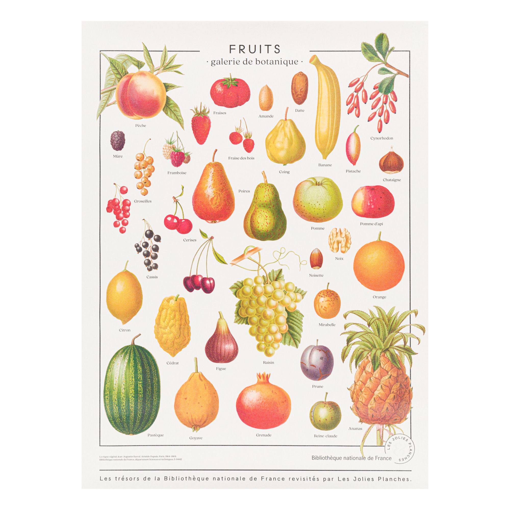 Les Jolies Planches - Planche les trésors de la Bibliothèque Nationale Fruits 60x80 cm - Multicolore