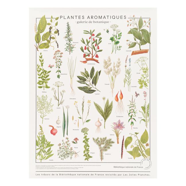 Treasures of the National Library Print - Herbs 60x80 cm