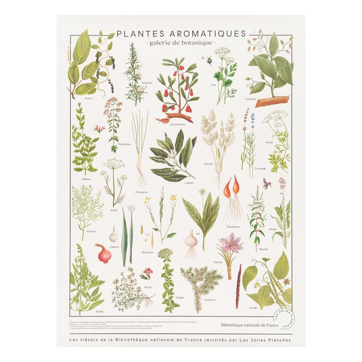 Planche les trésors de la Bibliothèque Nationale Herbes aromatiques 60x80 cm- Image produit n°2