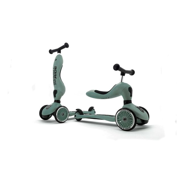 2-in-1 Scooter Chrome green
